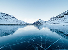 官方网站的力量：信任、透明与品牌策略的桥梁